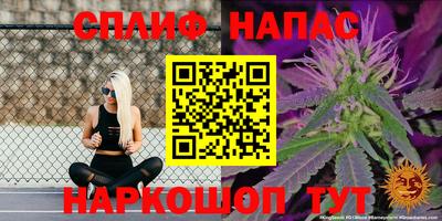 сатива Абакан