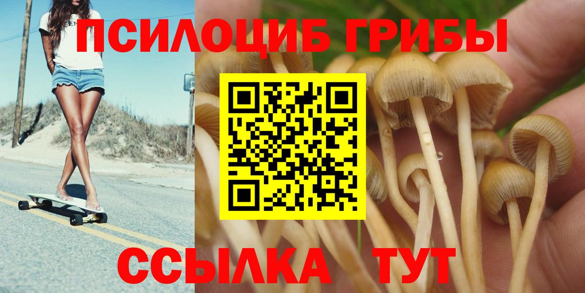 Галлюциногенные грибы Magic Shrooms Апатиты